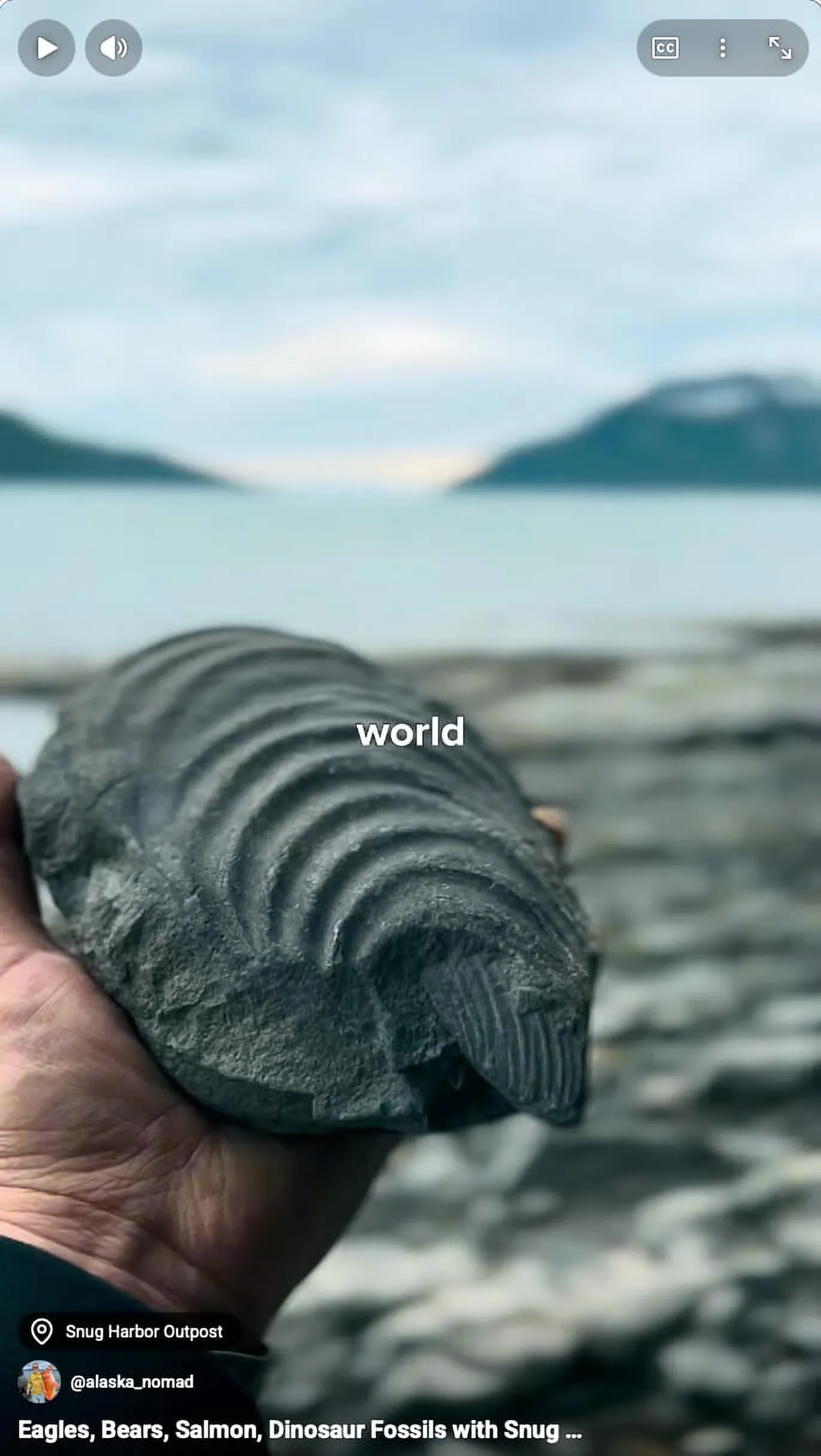 Eagles, Bears, Salmon, Dinosaur Fossils with Snug Harbor Outpost on Chisik Island