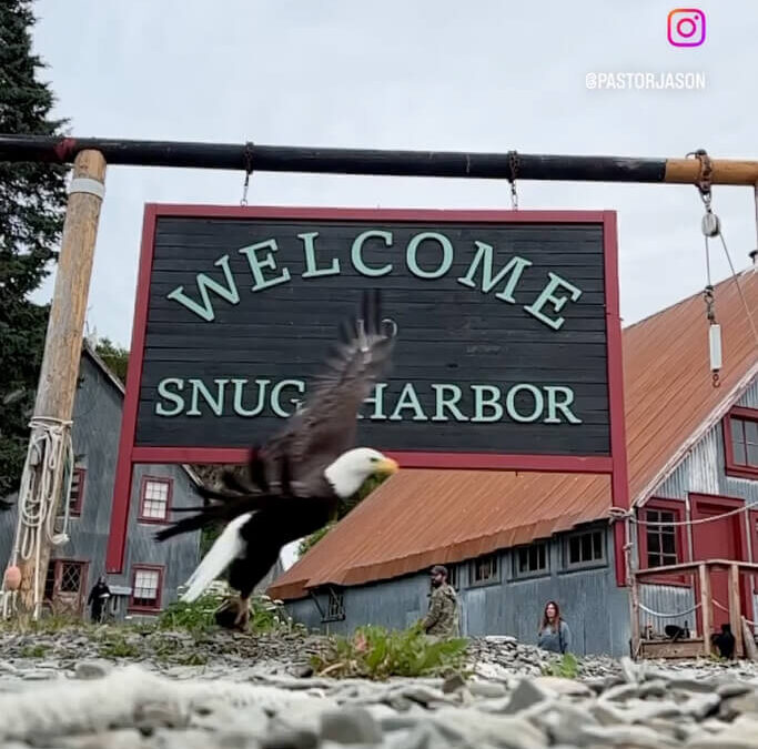 Bald Eagle talons out | Snug Harbor Outpost, Chisik Island, Cook Inlet, Alaska