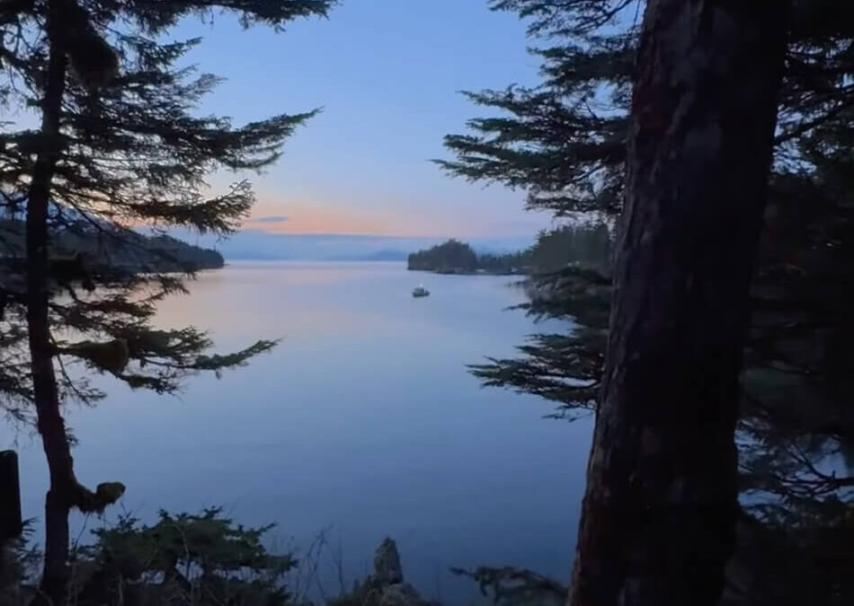 Paulson Bay Cabin Lookout | Background: Cochrane Bay, Prince William Sound, College Fjord.