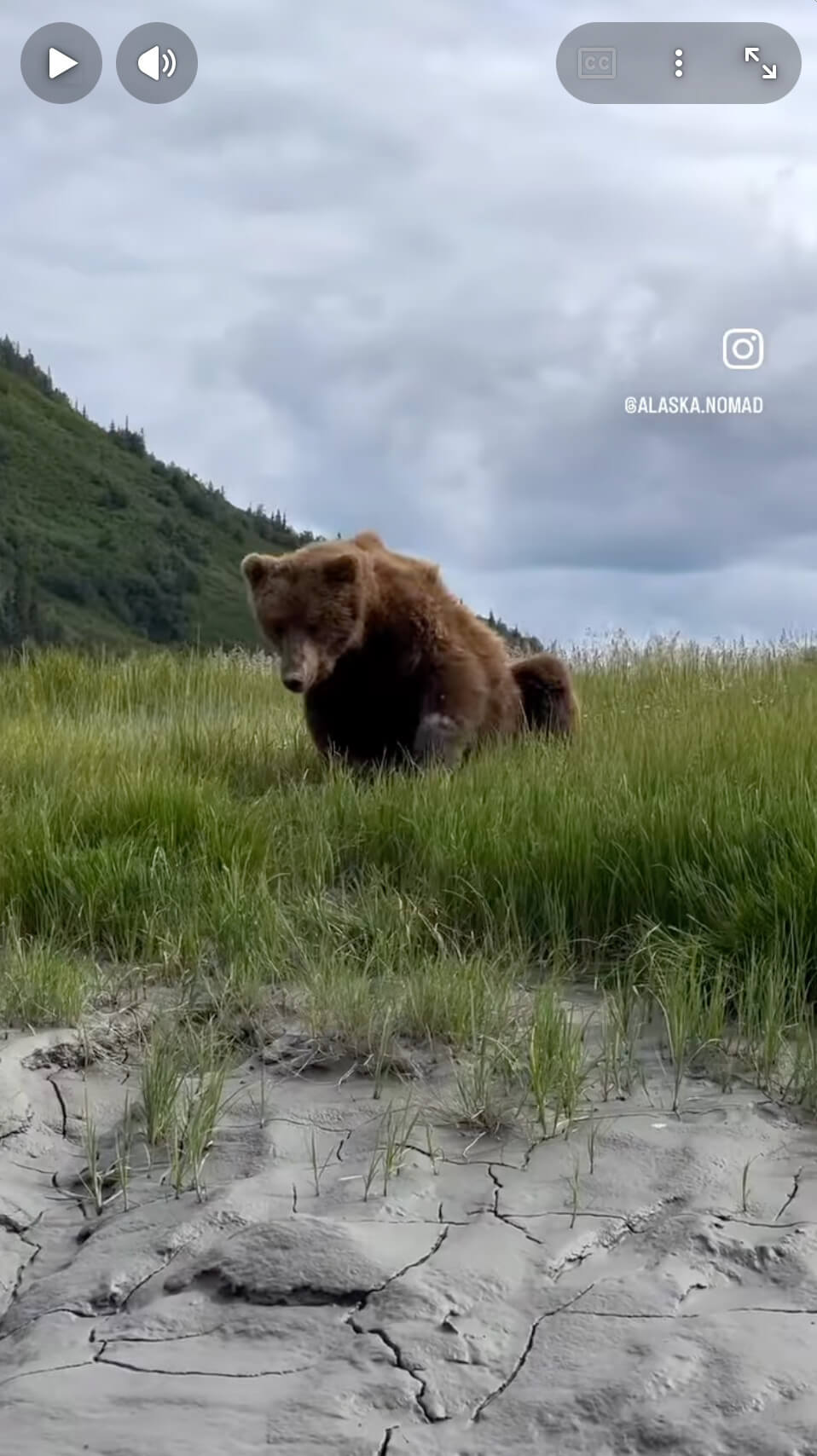When to apply bear spray: Before Hike, When Seen, Other?